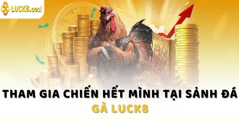 Chơi hết ga hết số với nhiều sảnh cược đá gà tại nhà cái Luck8