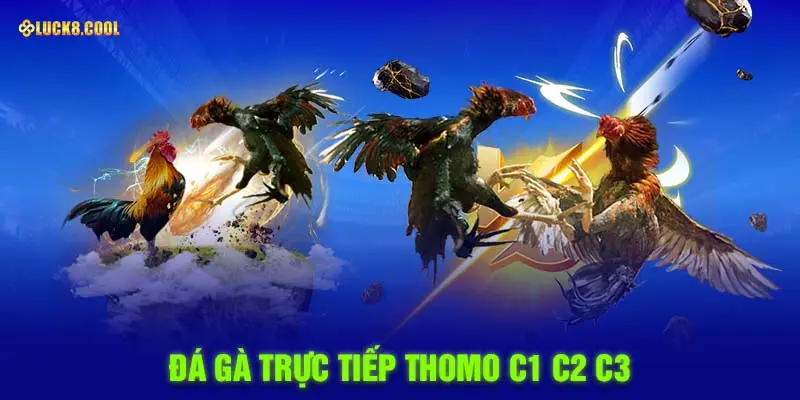 Đá gà trực tiếp C1 C2 C3