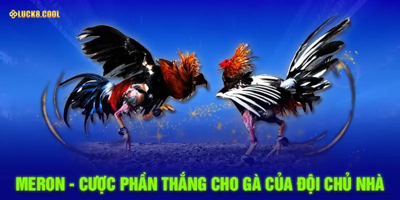 Meron - Cược phần thắng cho gà của đội chủ nhà