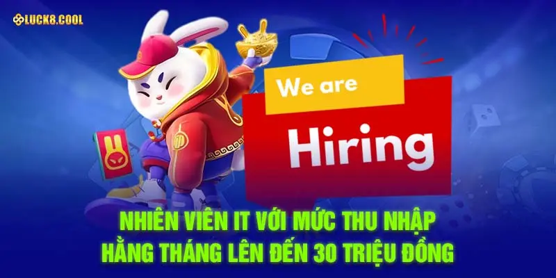 Nhiên viên IT với mức thu nhập hằng tháng lên đến 30 triệu đồng